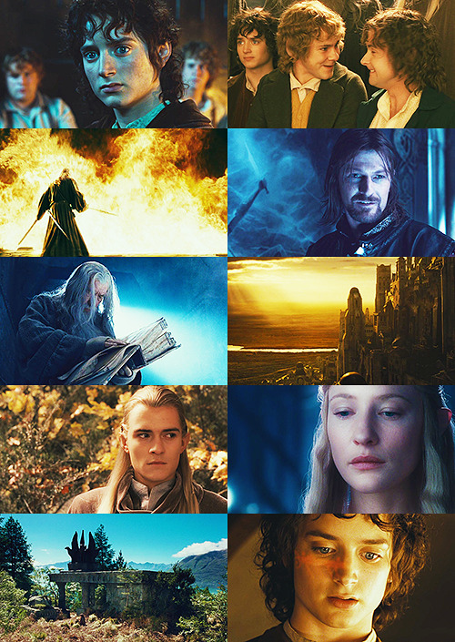  the fellowship of the ring + gold and blue 