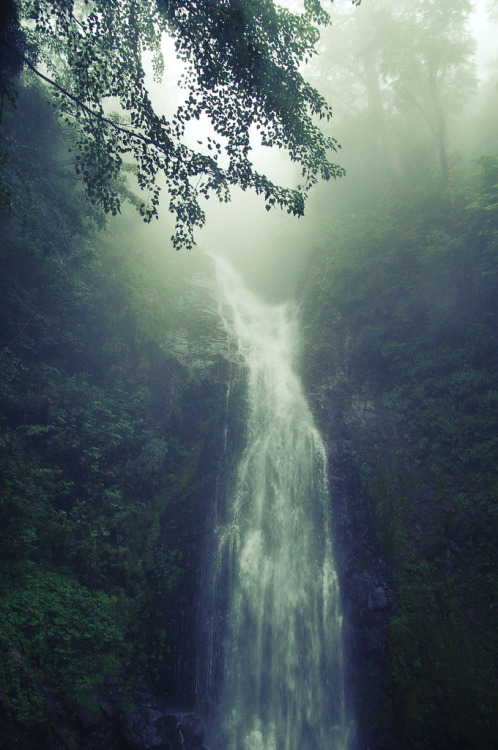 timidsouls: 武陵桃山瀑布 (tao-shan waterfall) (by i’m Jac) 