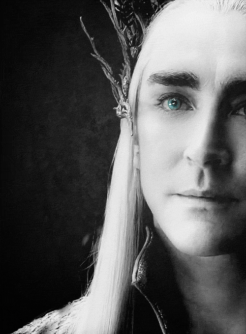 isorfidien: All would pay homage to him. Even the great Elven King, Thranduil. 