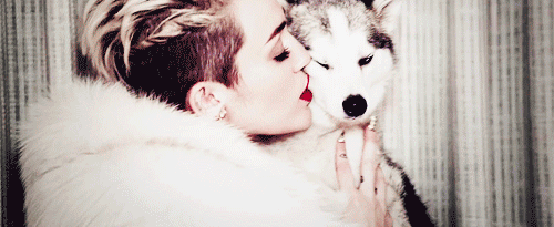 Miley Cyrus / მაილი საირუსი - Page 2 Tumblr_n5hupuGJpE1rqun57o1_500