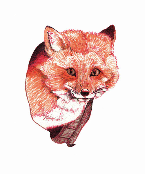Red Fox by Najmah Salam What a little rascal! Tumblr | Society6 | FaceBook | Etsy