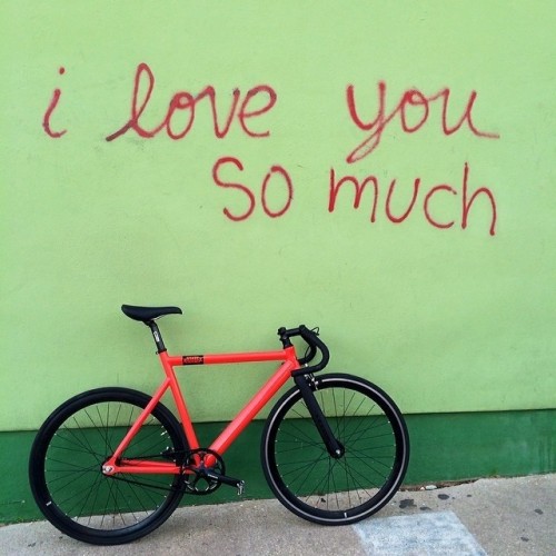 statebicycle: Thanks @jayalzebra for sending come love to AZ. We ❤️ you back #statebicycleco (at www.statebicycle.com) 