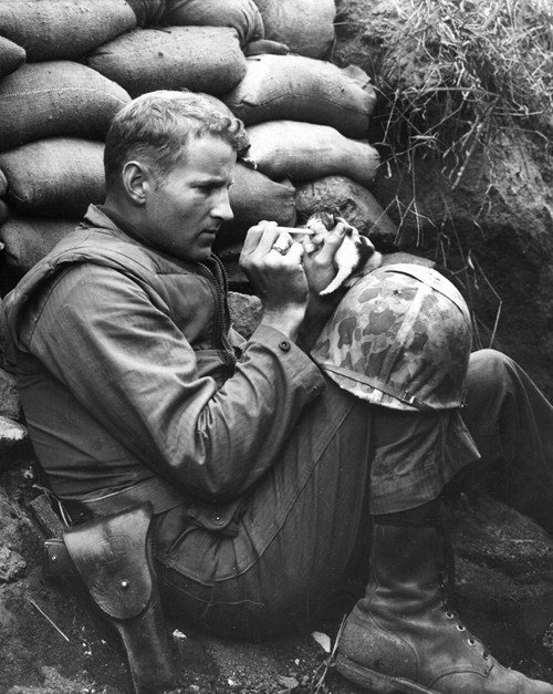  If you were having a bad day, here’s a picture of a Marine feeding canned milk via medicine dropper to an orphaned kitten during the Korean War.