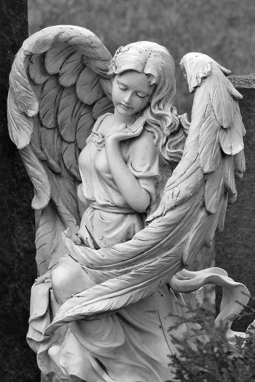 poltergeist-dreams: zirina: I saw the angel in the marble and carved until I set him free. ~ Michelangelo †Angels and Demons† 