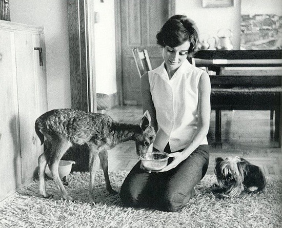 theniftyfifties: Audrey Hepburn at home with her dog and pet deer, Ip.