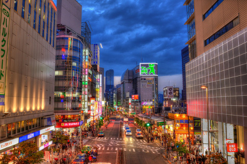 Shinjuku cityscape by Jasmin・゜゜・*: on Flickr.