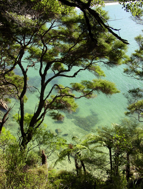 x-enial: Turquoise water of Tonga Bay by Anik Richard