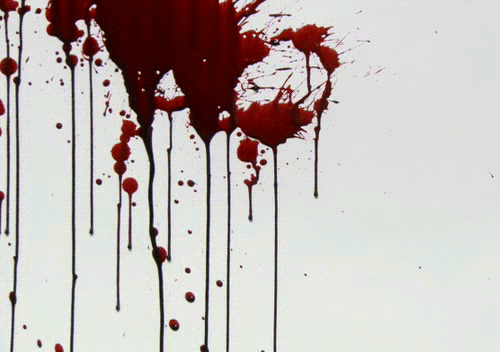 Image result for blood gif