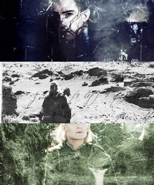  “The most tireless of all the Fellowship.” 