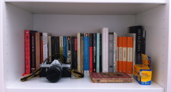 books + camera + french painters