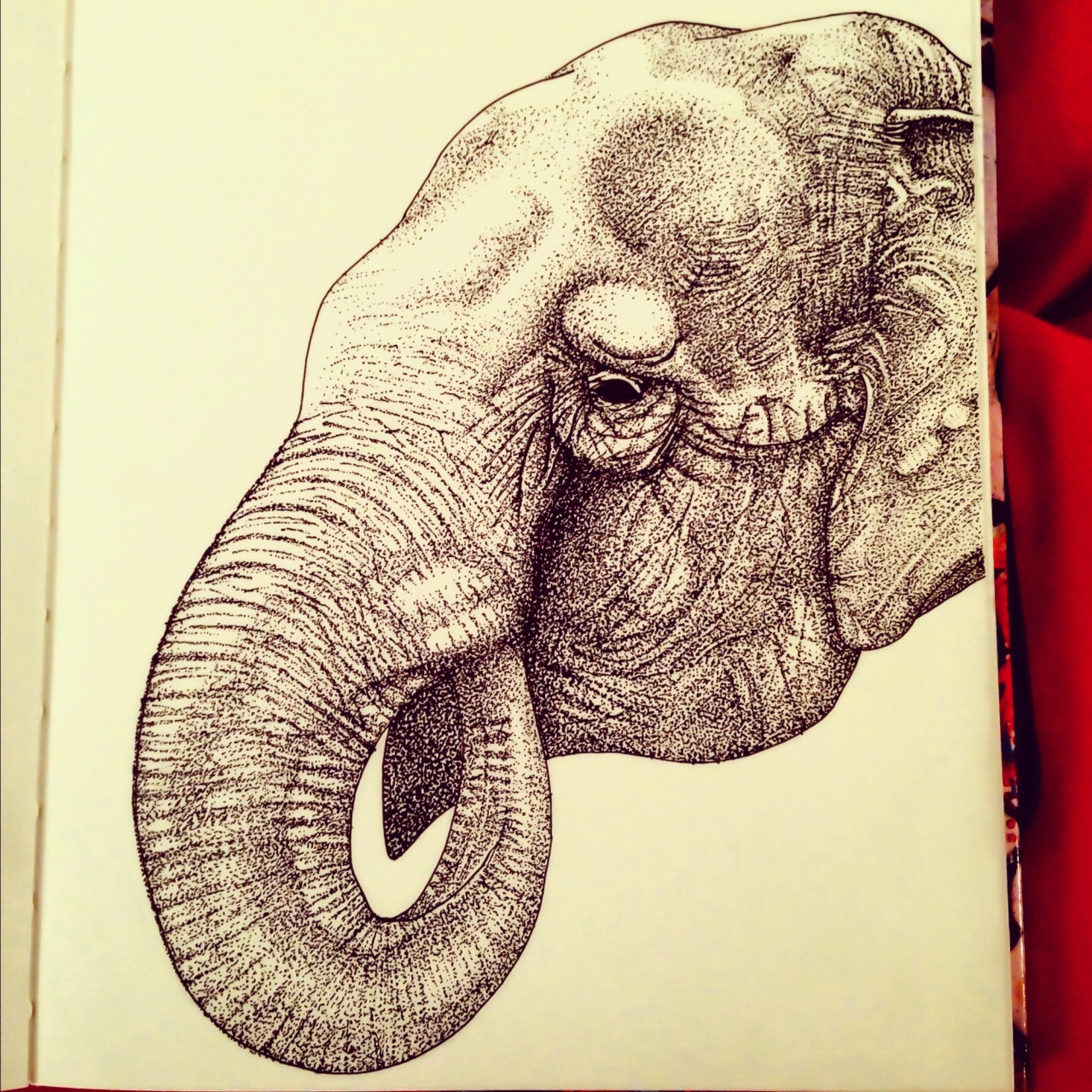 Asian elephant pen illustration. By mongo gushi.