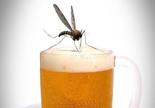 mosquitos e cerveja