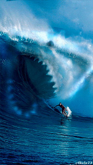 Resultado de imagen de surf gif tumblr