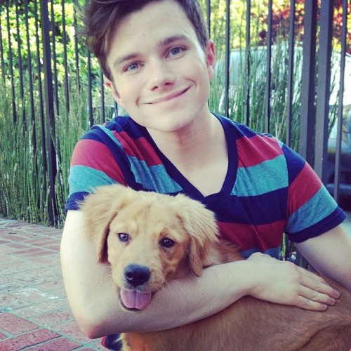 Chris adopts Cooper! Tumblr_n4vlhnRks91qe476yo1_500