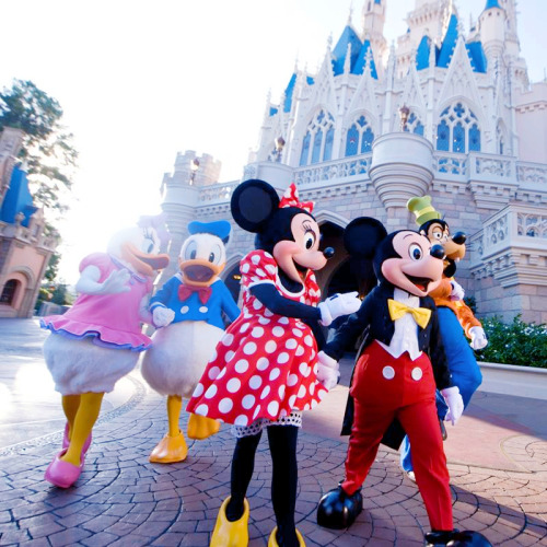Mickey Mouse and the Disney Family