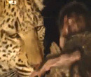 Leopardo adopta macaco depois de matar a sua mãe