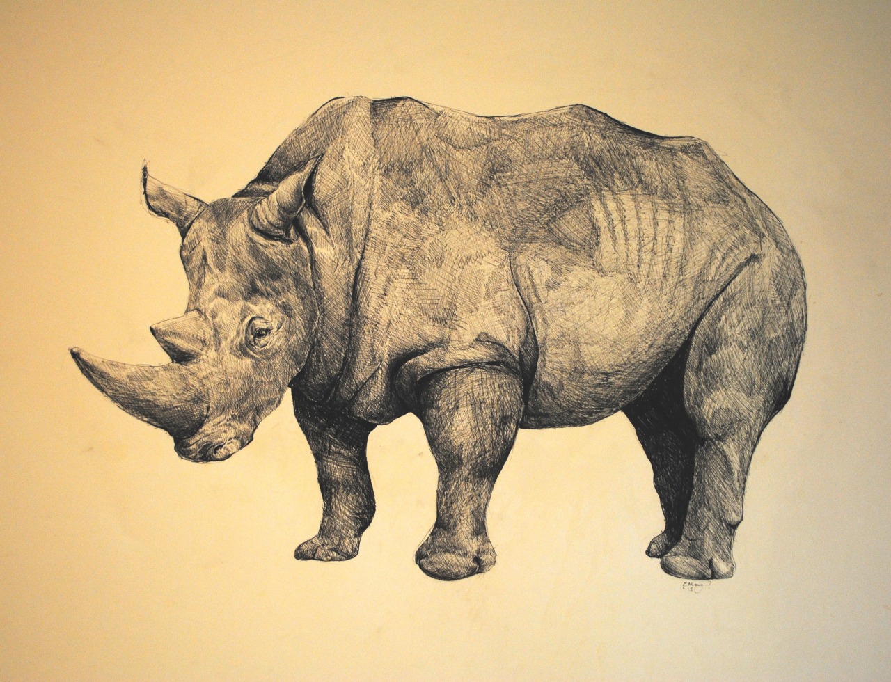 Rhinocerosrsly By Emma Morgan I only use fine-liner pens to draw with! It&#8217;s about A1 size. www.emmamorganart.blogspot.com 