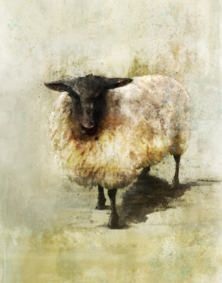 Ken RokoBlack Sheep 01: Giclee Fine Art Print 11X14Please check out more images from FB Fan Page:  http://www.facebook.com/pages/Art-by-Ken-Roko/394013960682876 Etsy.com:http://www.etsy.com/shop/krokoart?section_id=12474863Tumblr:http://krokoart.tumblr.com/ 
