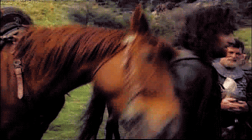 inebriatedpony: librariansheart: Viggo Mortensen, inspiring affection in horses everywhere. I’d rub my face on Viggo too if I had the chance. Who said that? 
