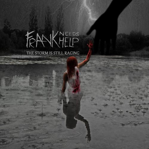 Frank Needs Help - The Storm Is Still Raging (2013)