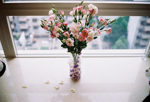 adorus: Mother’s day by 多多^ on Flickr. 