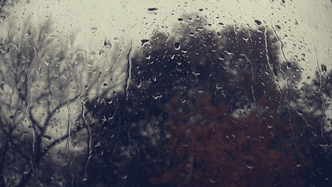 Tous ces moments se perdront dans l’oubli, comme des larmes dans la pluie. (brume) Tumblr_mz3ispMwGB1rg37eto1_500