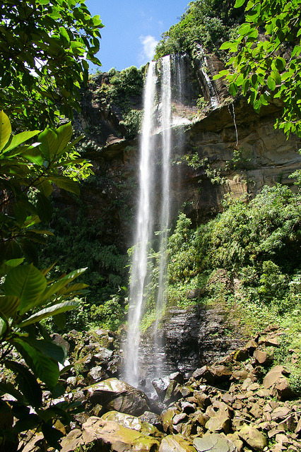 svnguinaire: Pinaisaara Waterfall, Iriomote Island, Okinawa, Japan by ippei + janine on Flickr.