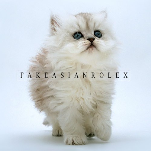 Fake Asian Rolex - 74K34514NR013X [EP] (2012)