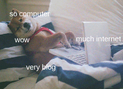 Image result for doge blog