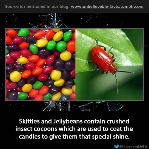 Skittles and Jellybeans contain crushed insect cocoons which are used to coat the candies to give them that special shine.