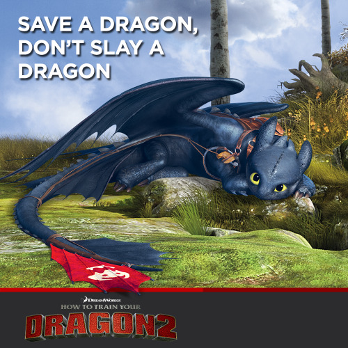 Dragons 2 [spoilers présents] DreamWorks (2014) Tumblr_n4lk9qTW4Z1rj6bnqo1_r1_500