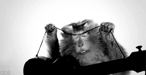 monkey clip art gif - photo #18