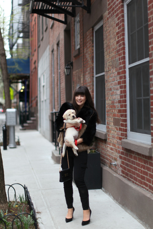 clubmonaco: clubmonaco-pressroom: Betty of Le Blog de Betty and a pup! Behind the scenes of our Fall 1 Lookbook. 