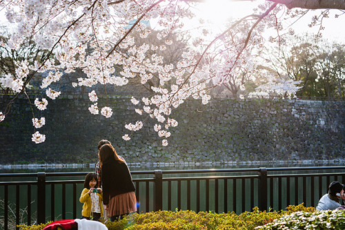 Osaka Castle Park by ebiq on Flickr.