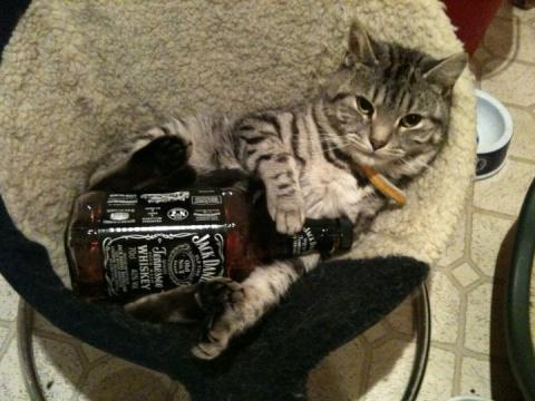 Anybody who hates dogs and loves whiskey can't be all bad.