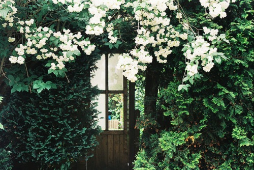 aphelia: When the doors close by holding onto gravity on Flickr. 