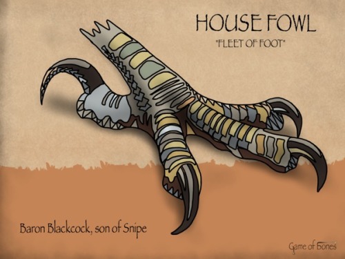House Fowl 