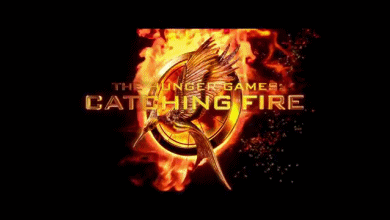 Catching Fire best movie 2013