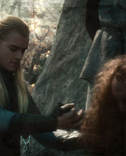  We have heard tell that Legolas took Gimli Glóin’s son with him because of their great friendship, greater than any that has been between Elf and Dwarf. If this is true, then it is strange indeed: that a Dwarf should be willing to leave Middle-earth for any love, or that the Eldar should receive him, or that the Lords of the West should permit it… 
