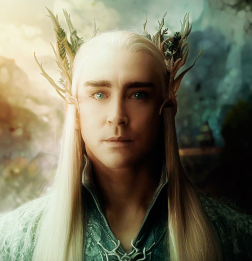 push-pulse: Thranduil from “The Hobbit” in photorealism. 1920X1080 He’s a bit thicker here :D*Tablet: wacom bamboo cth-470;Total time: ~ 50 hours 