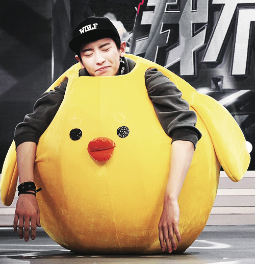 hush… this giant chick is sleeping