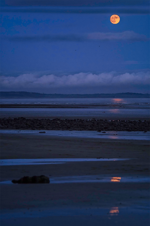 vurtual: Blue moonrise over Murlough II (by Alsal Photography) 