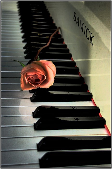 Pin by Carol Dziedzic on ..LET THE MUSIC PLAY..♬♬♬ | Piano music, Piano ...