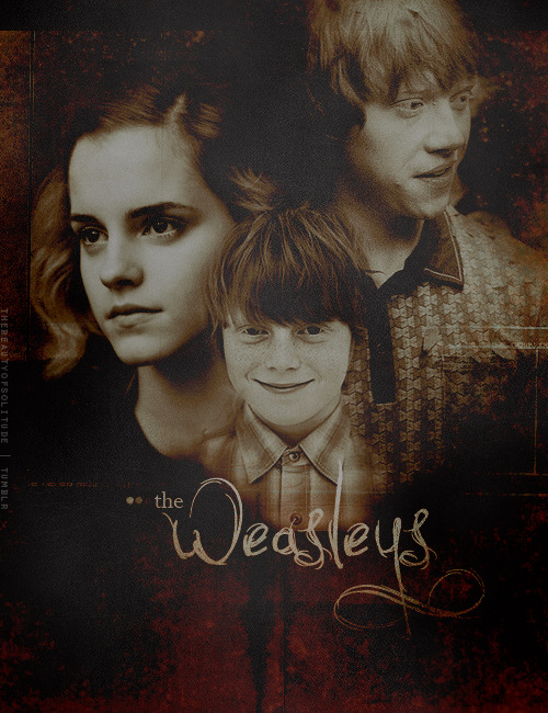 thebeautyofsolitude: - the Weasleys (Hermione, Hugo, Ron) 