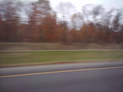 Fall colors zipping by on I-90.