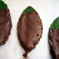 imdelicious: Chocolate-Covered Mint Leaves (My Thin Mints) 