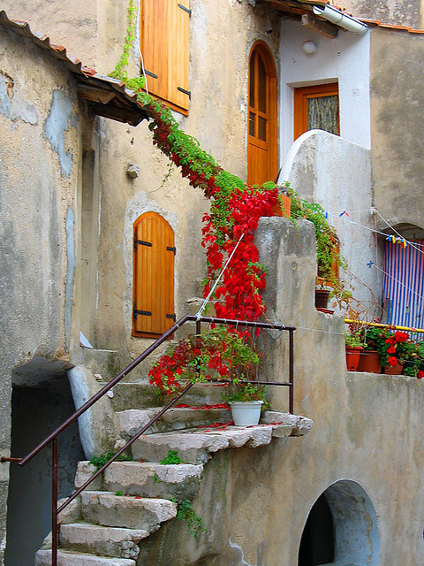 Flowered Entry, Croatia