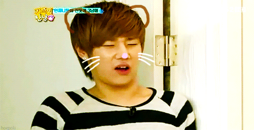 another reason why sunggyu dislikes dogs: hamsters do not poop on the floor..