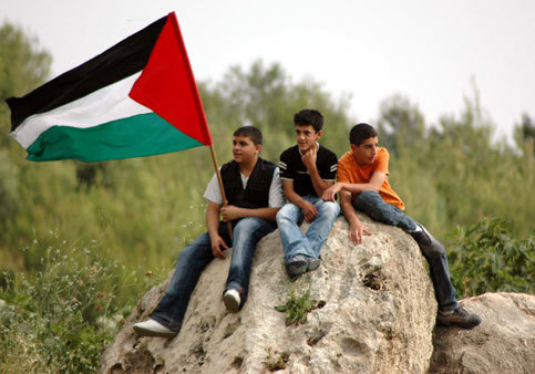 عذرا فلسطين فضمير العربي نائم