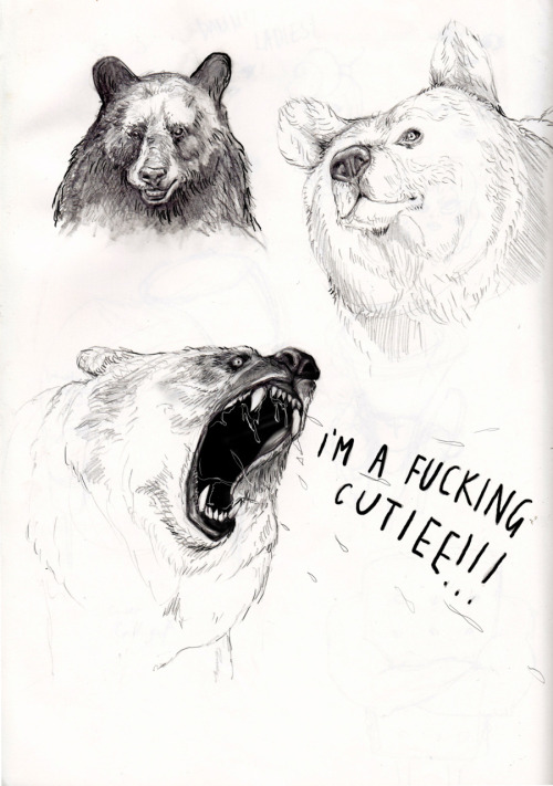batsnbears: Finally picked up a pencil after wayy too long NB: Bears can be pretty sensitive about their appearance 